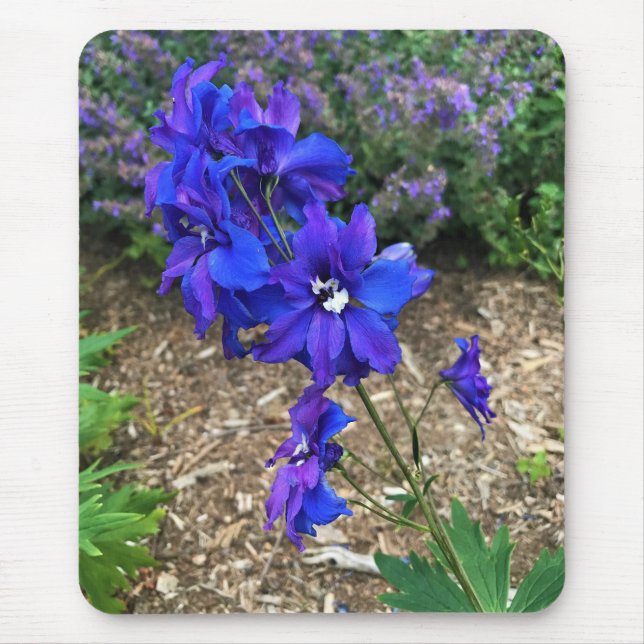 Tapis De Souris Flowers at Château Morrisette Winery, Floyd, VA (Devant)