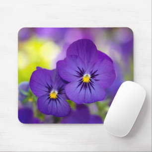 Tapis De Souris Flowers (homonymie)   Purple Pansies