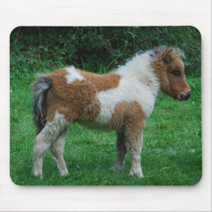 Tapis De Souris Fluffy Adorable Dartmoor Pony