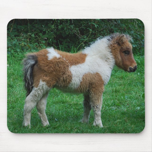 Tapis De Souris Fluffy Adorable Dartmoor Pony (Devant)