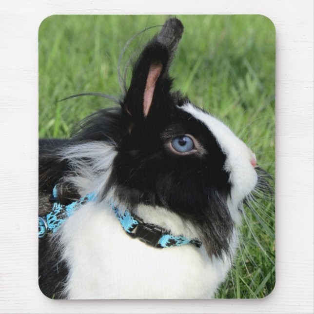 Tapis De Souris Fluffy Black and White Lionhead Bunny Rabbit (Devant)