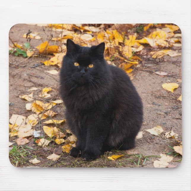 Tapis De Souris Fluffy Black Kitty et Feuilles d'automne (Devant)