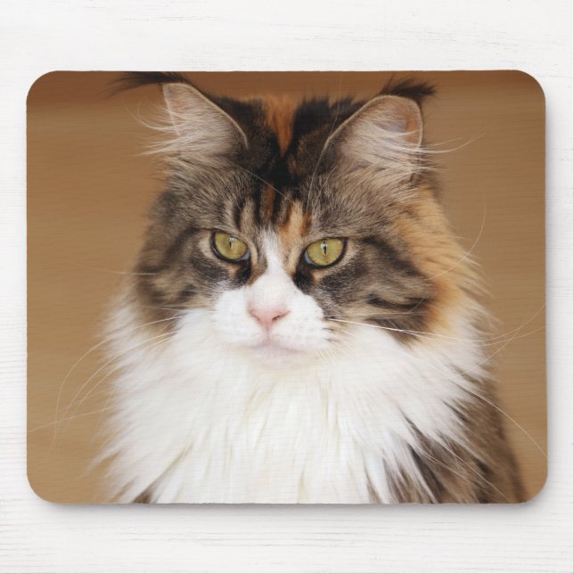 Tapis De Souris Fluffy Maine Coon Cat (Devant)