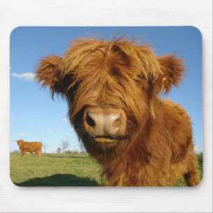 Tapis De Souris Fluffy Scottish Highland Cow