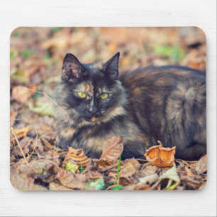 Tapis De Souris Fluffy Tortoiseshell Kitty à l'automne