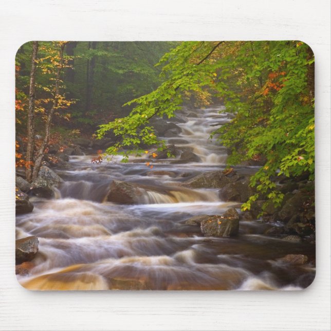 Tapis De Souris Flux le long du sentier des Appalaches (Devant)