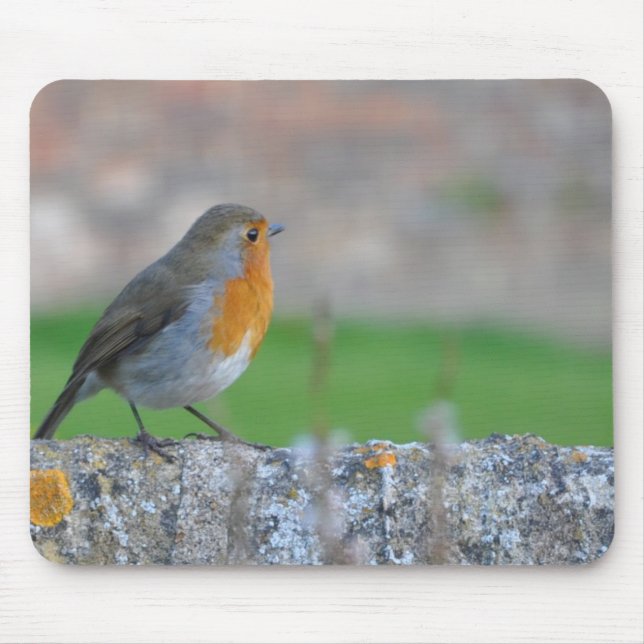 Tapis De Souris FLYCATCHER à gorge rouge (Devant)