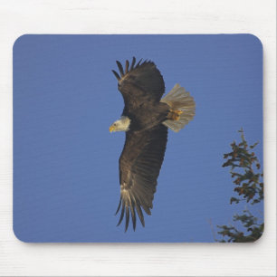 Tapis De Souris Flying Bald Eagle Wildlife-Supporter Art