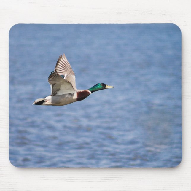 Tapis De Souris Flying Mallard (Devant)
