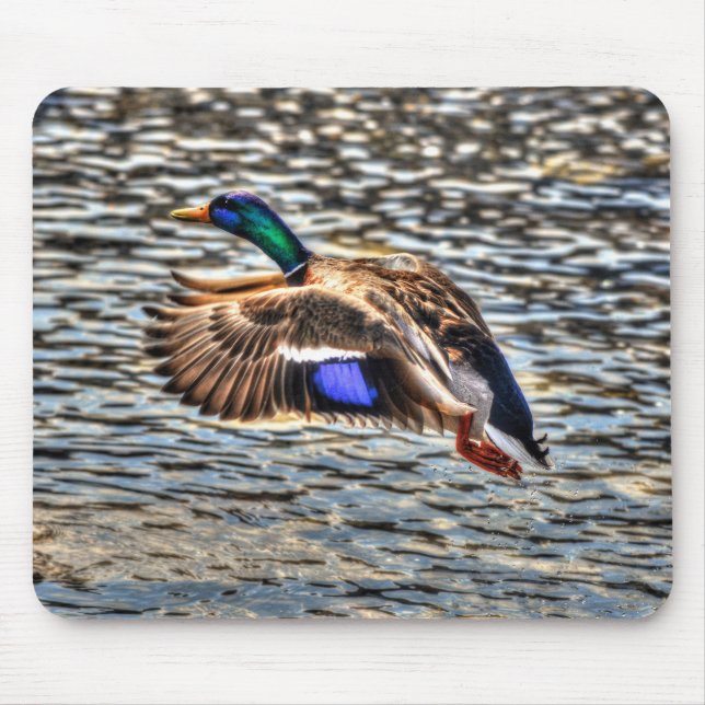 Tapis De Souris Flying Mallard Drake at Sunset Wildlife Gift (Devant)