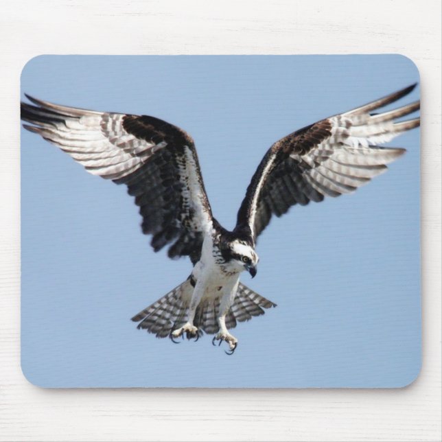 Tapis De Souris Flying Osprey (Devant)