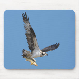 Tapis De Souris Flying Osprey & Fish Wildlife Photography