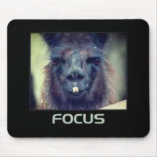 Tapis De Souris Focus Black Llama Inspiration