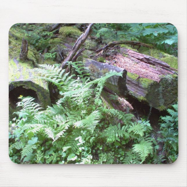 Tapis De Souris Folage (Devant)