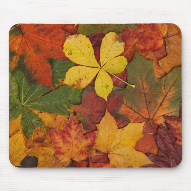 Tapis De Souris Folithe d'automne (Devant)