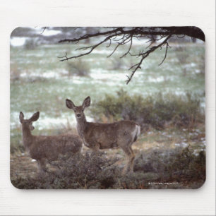 Tapis De Souris Fonctionnement de cerfs communs