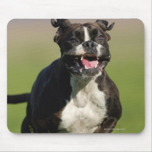 Tapis De Souris Fonctionnement de chien