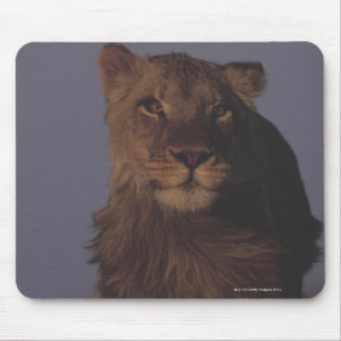 Tapis De Souris Fonctionnement de lion
