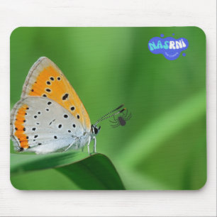 Tapis De Souris Fond vert et papillon jaune et blanc et araignée