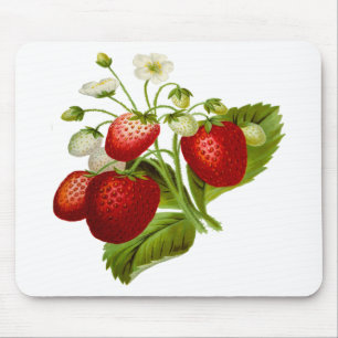 Tapis De Souris Food fruit leaf leafy