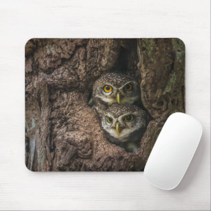 Tapis De Souris Forest   Deux Owls Looking