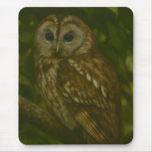 Tapis De Souris Forest Sentinel - Tawny Owl Wildlife Art