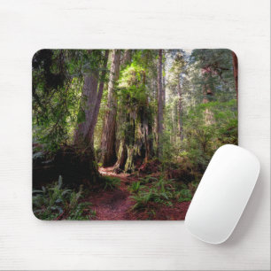 Tapis De Souris Forest   Séquwood Forest California