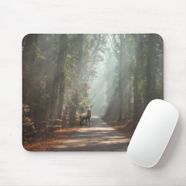 Tapis De Souris Forêt | Bois (Avec souris)