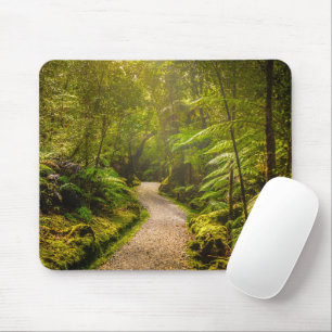 Tapis De Souris Forêt Chemin De Marche Dans La Forêt