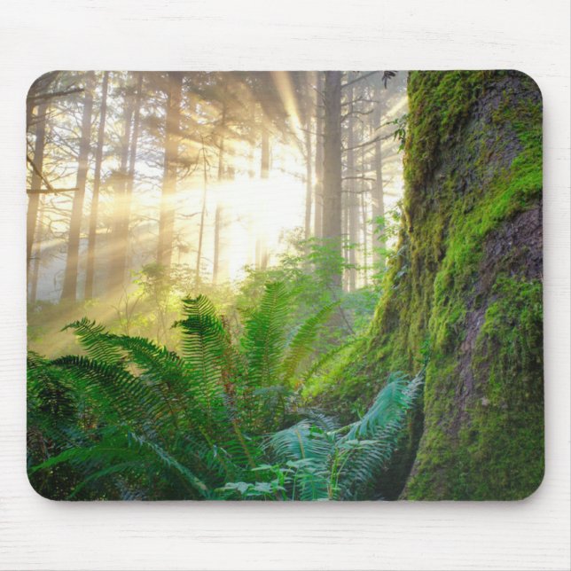 Tapis De Souris Forêt côtière du Pacifique, Oregon (Devant)