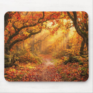Tapis De Souris Forêt d'automne