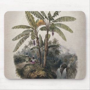 Tapis De Souris Forêt de bananiers tropicaux antiques   Bota vinta