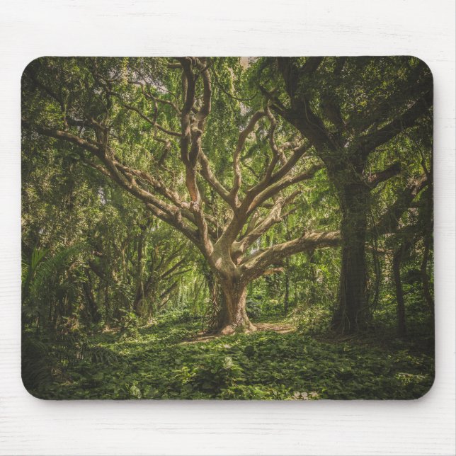 Tapis De Souris Forêt de Big Tree (Devant)