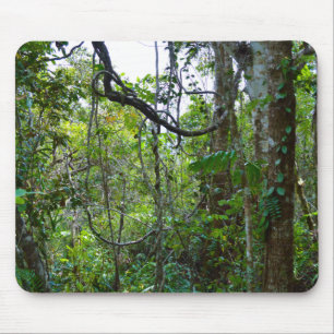 Tapis De Souris Forêt de pluie