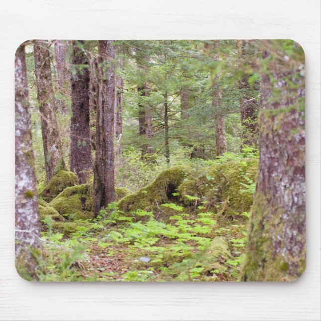 Tapis De Souris Forêt de Sitka (Devant)