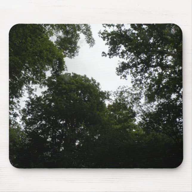 Tapis De Souris Forêt déplaisante Mousepad (Devant)