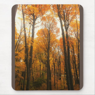 Tapis De Souris Forêt d'Orange