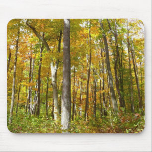 Tapis De Souris Forêt du paysage d'automne Feuille Jaune