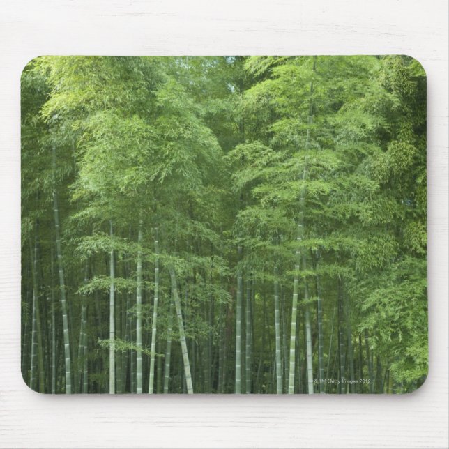 Tapis De Souris Forêt en bambou (Devant)