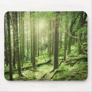 Tapis De Souris Forêt en parc national   Kerry, Irlande de