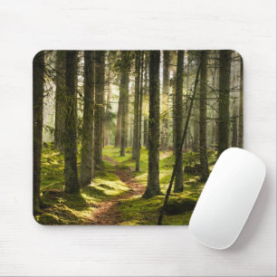 Tapis De Souris Forêt Forêt boréale Suède