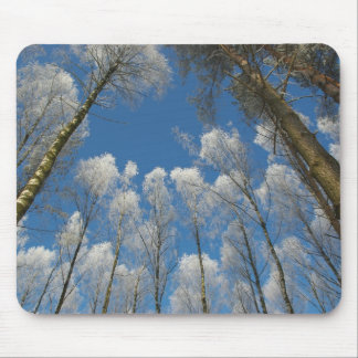 Tapis De Souris Forêt gelée