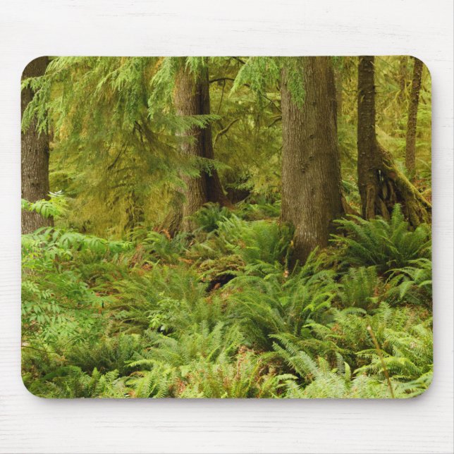 Tapis De Souris Forêt luxuriante et fougères | Ecola State Park, O (Devant)
