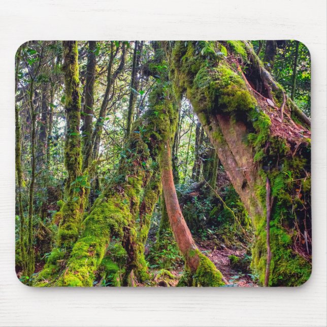 Tapis De Souris Forêt moussue (Devant)