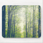 Tapis De Souris Forêt mystique<br><div class="desc">Tall trees in spring in a mystical forest</div>