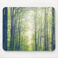 Forêt mystique