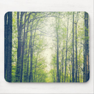 Tapis De Souris Forêt mystique