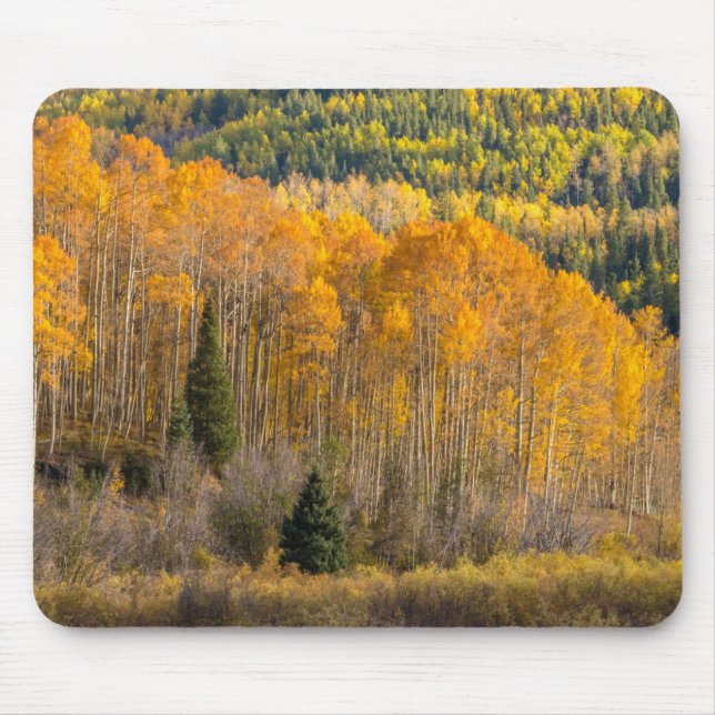 Tapis De Souris Forêt nationale de Gunnison (Devant)