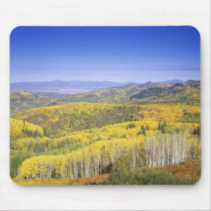 Tapis De Souris Forêt nationale de Routt en couleur d'automne, prè