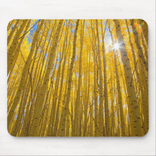 Tapis De Souris Forêt nationale de White River